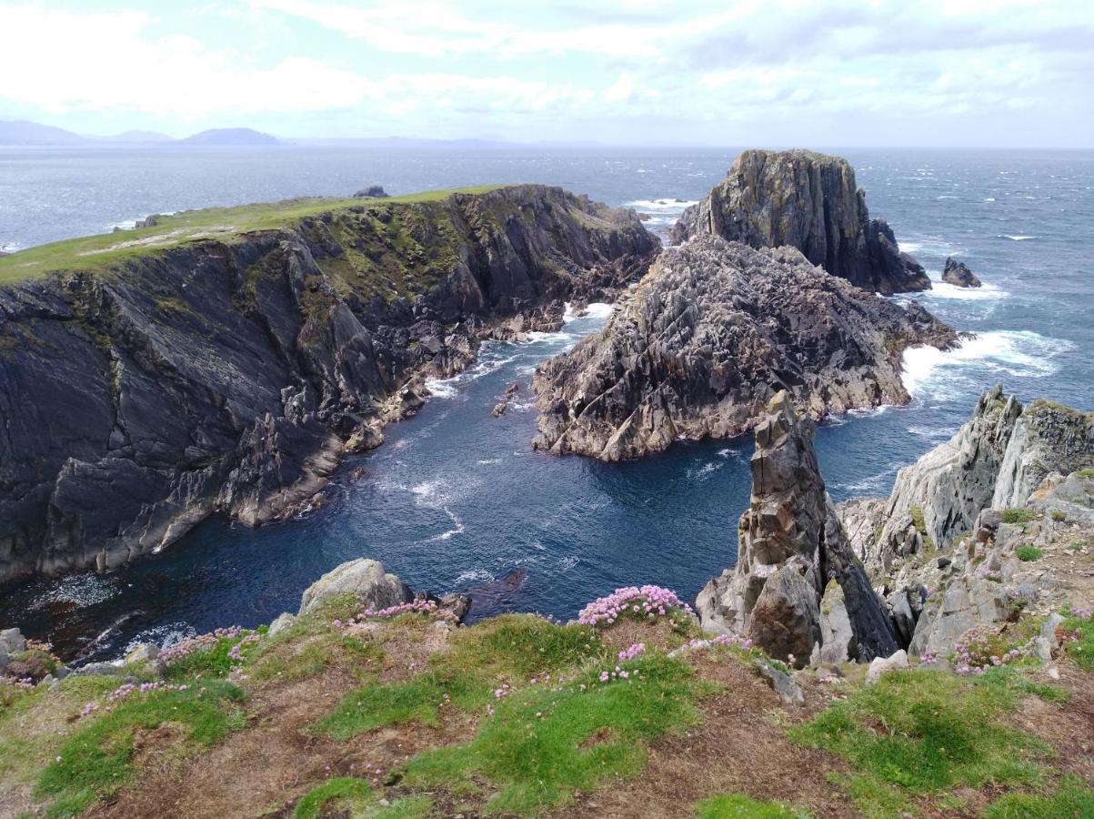 Madra Rua Organic Accommodation Ballyliffin Buitenkant foto