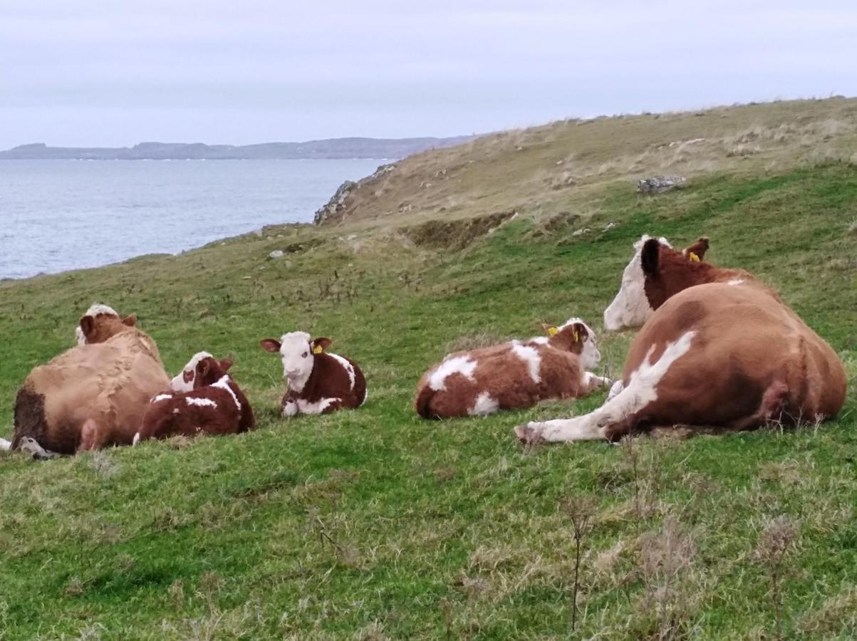 Madra Rua Organic Accommodation Ballyliffin Buitenkant foto